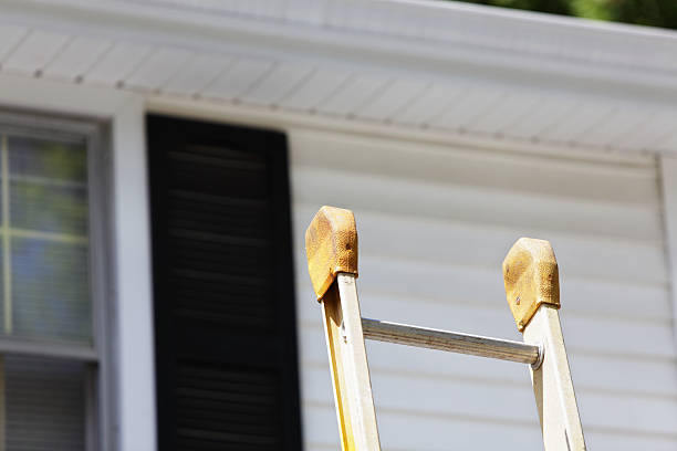 Best Attic Cleanout  in Daleville, IN